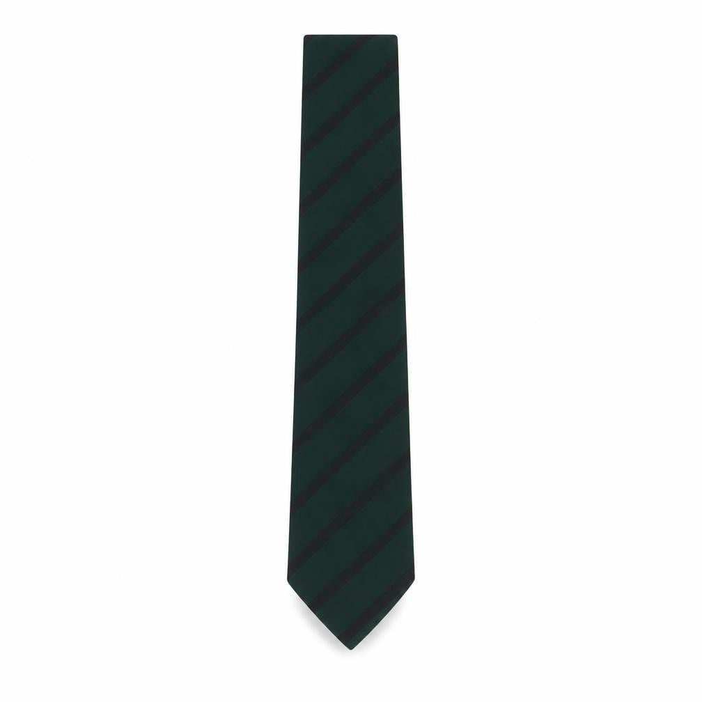 Front view of Preworn men’s multicoloured striped polyester pointed tie one size