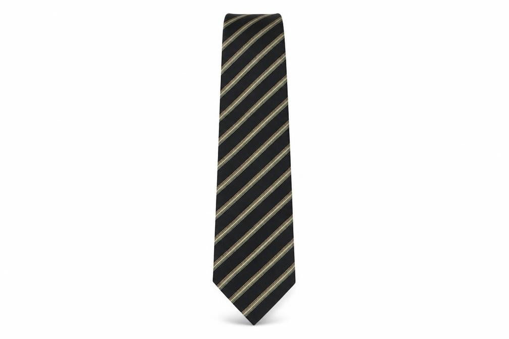 Paul Costelloe Mens Multicoloured Striped Silk Pointed Tie One Size