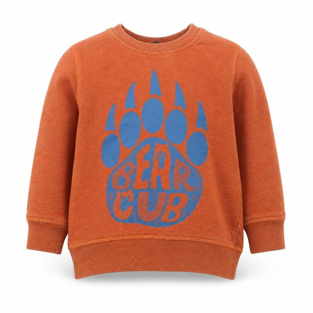 Front view of George boys’ brown cotton pullover sweatshirt, size 2-3, years pullover