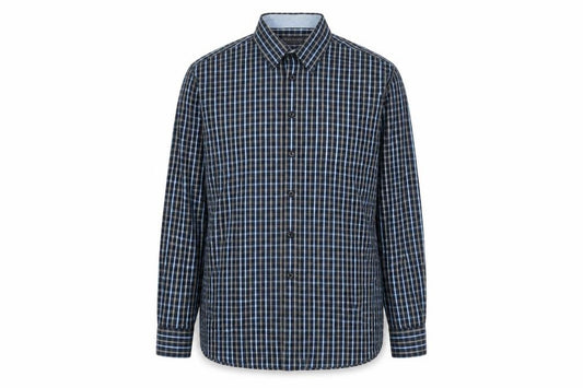 Front view of Peter Gribby men’s blue plaid cotton button-up, size L, collared button