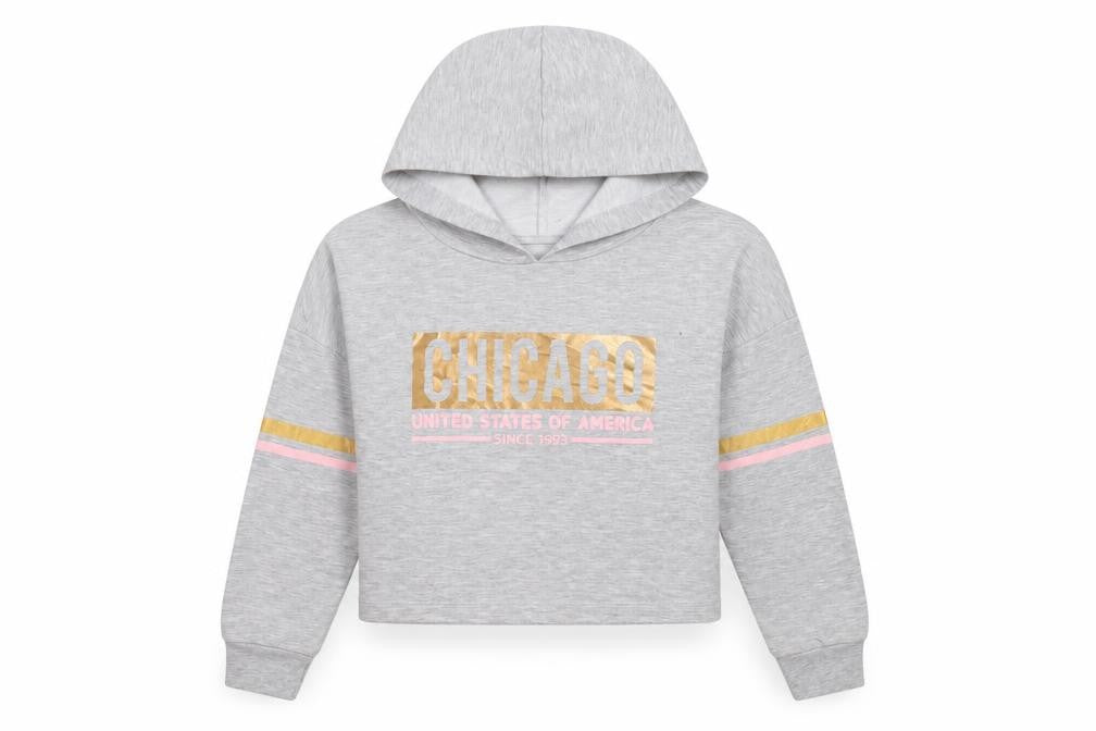 Front view of Sienna Dazzel women’s grey acrylic pullover hoodie, size S, - chicago