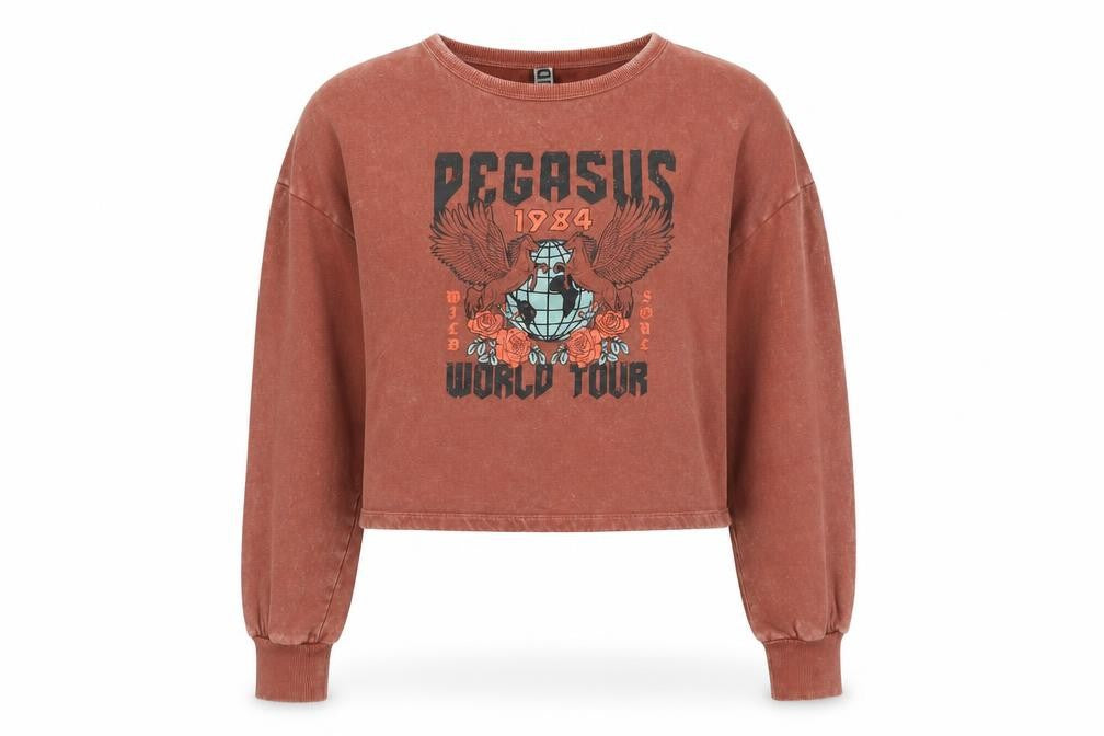 JDY Womens Brown  Cotton Pullover Sweatshirt Size S   - Degasus Tour. Cropped. Distressed effect