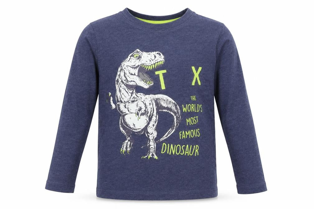 Dunnes Stores Boys Blue Cotton Basic T-Shirt Size 5 Years Round Neck - T Rex Dinasour Graphic
