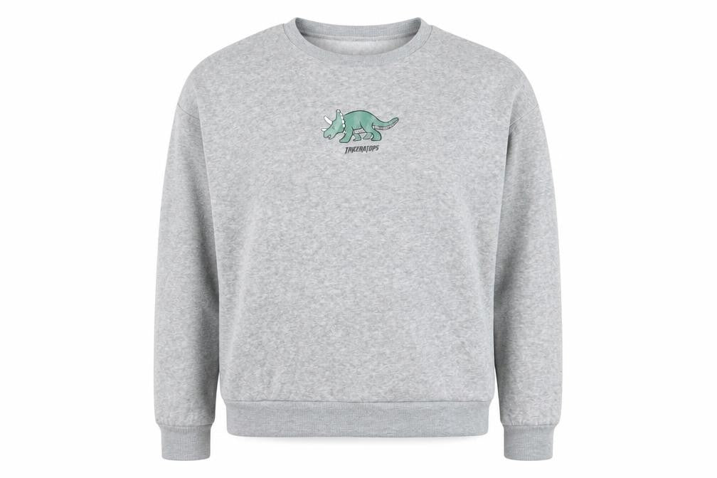 Front view of SHEIN women’s grey polyester pullover sweatshirt, size M