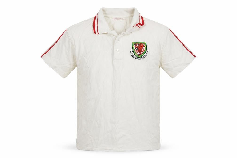 Front view of Wales FA boys’ white cotton basic polo, size XL, collared - wales