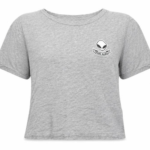 Pull&Bear Womens Grey Cotton Basic T-Shirt Size S Round Neck - Fake Alien
