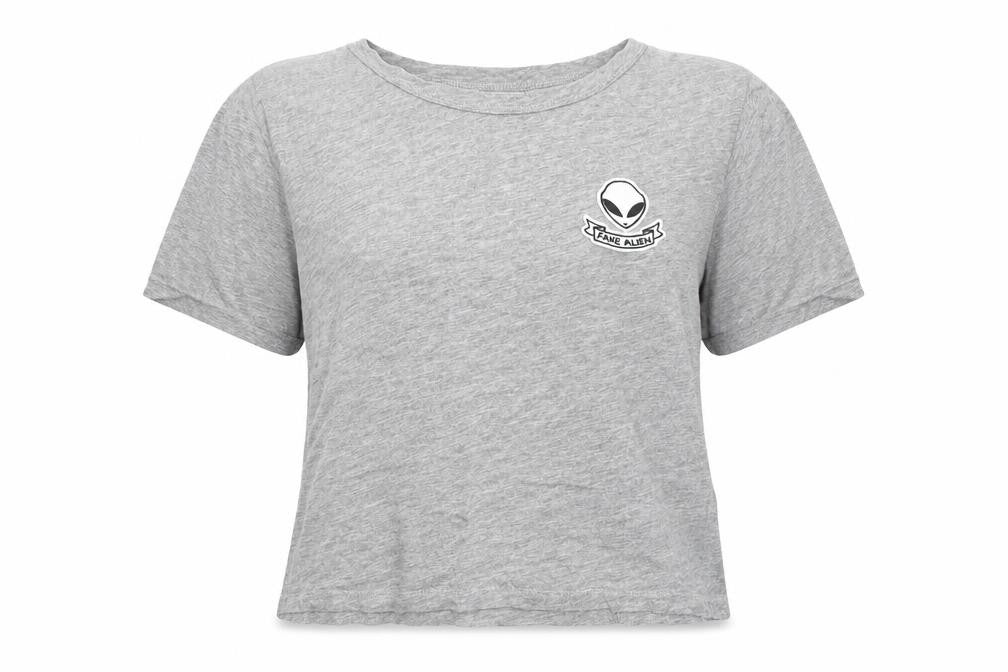 Pull&Bear Womens Grey Cotton Basic T-Shirt Size S Round Neck - Fake Alien