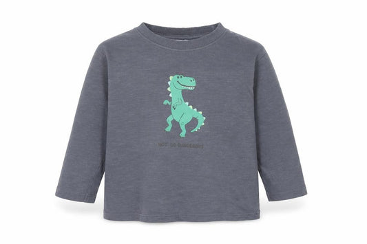 Front view of Mango boys’ grey 100% cotton basic polo, size 12-18, months crew neck pullover - dinosaur