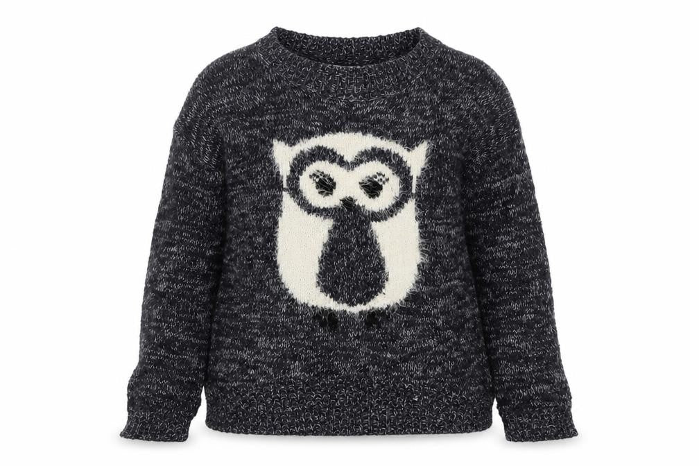 Front view of New Look girls’ blue round neck acrylic jumper, size 12-13, years pullover - owl