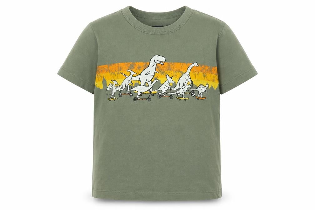 Front view of Gap boys’ green cotton basic casual, size 5, years round neck pullover - dinosaur