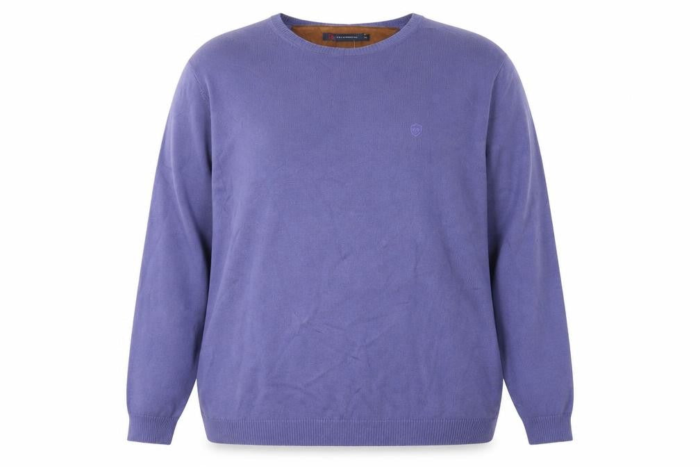 Front view of Peter Montana women’s purple round neck nylon jumper, size 2XL
