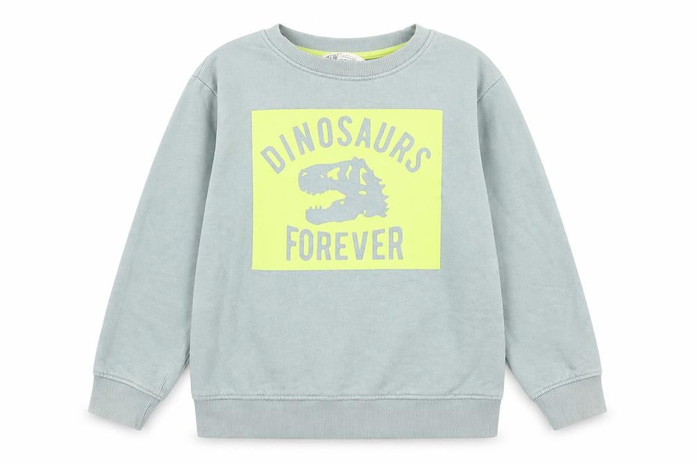 Front view of H&M boys’ grey cotton pullover sweatshirt, size 9-10, years pullover - dinosaurs forever