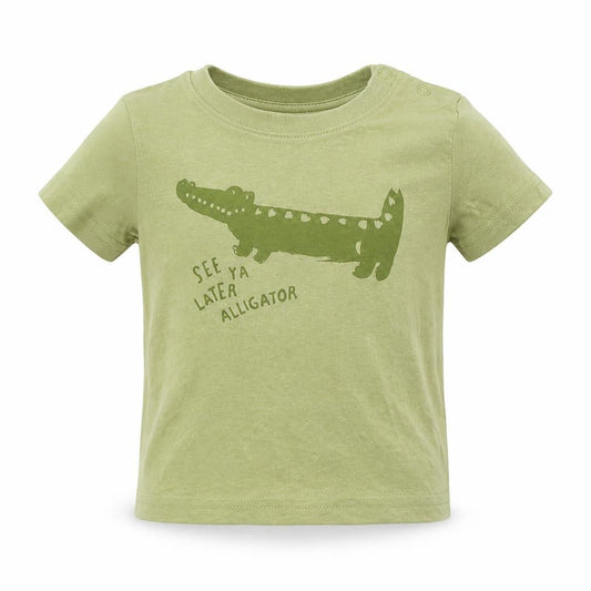 Front view of Primark boys’ green cotton basic t-shirt, size 3-6, months round neck pullover - alligator