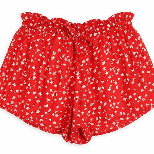 Miss Selfridge Womens Red Floral Polyester Hot Pants Shorts Size 4 L3 in Regular Drawstring