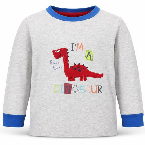 Jeff & Co Boys Grey Cotton Basic T-Shirt Size 12-18 Months Round Neck - I'm a Dinosaur