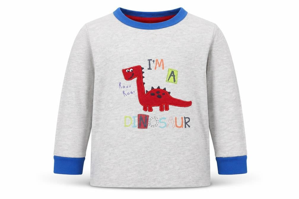 Jeff & Co Boys Grey Cotton Basic T-Shirt Size 12-18 Months Round Neck - I'm a Dinosaur