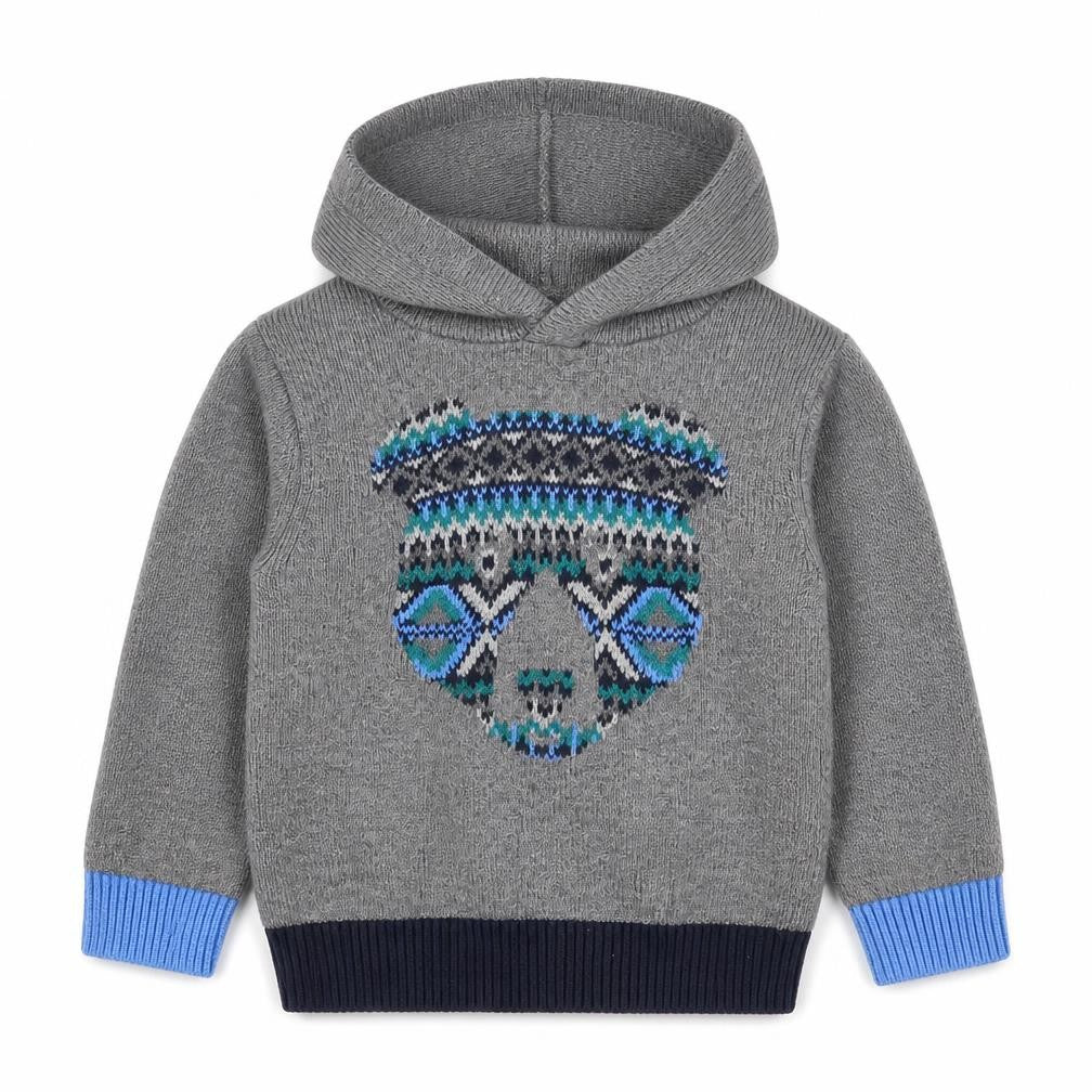 Front view of Gap boys’ grey cotton pullover hoodie, size 2, years pullover - bear