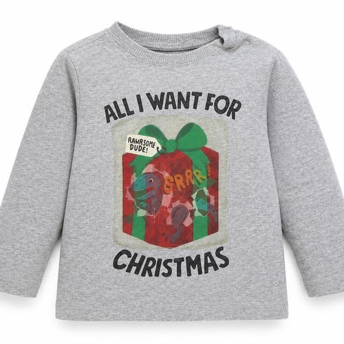F&F Baby Grey Cotton Basic T-Shirt Size 12-18 Months Round Neck Pullover - Christmas Dinosaur