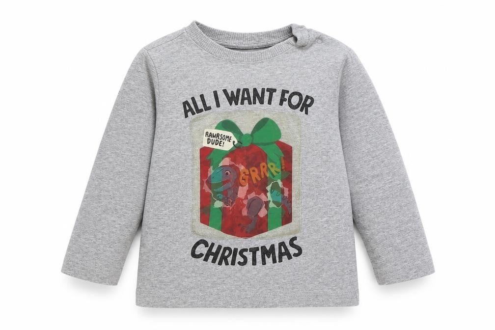 F&F Baby Grey Cotton Basic T-Shirt Size 12-18 Months Round Neck Pullover - Christmas Dinosaur