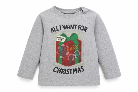 Front view of F&F Baby Grey Cotton Basic T-Shirt, size 12-18, Months Round Neck Pullover - Christmas Dinosaur