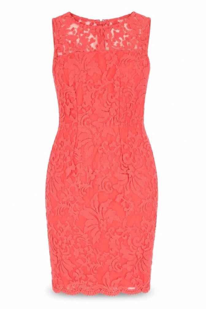 Debenhams Womens Red Cotton Bodycon Size 8 Round Neck Zip