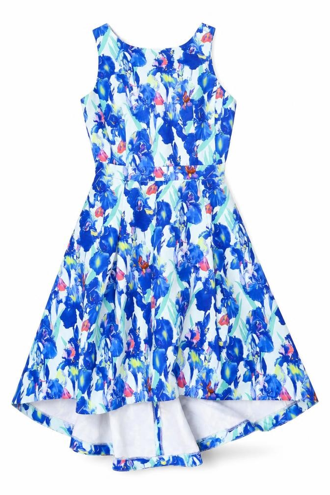befree Fashion Womens Blue Floral Polyester Skater Dress Size S V-Neck Zip