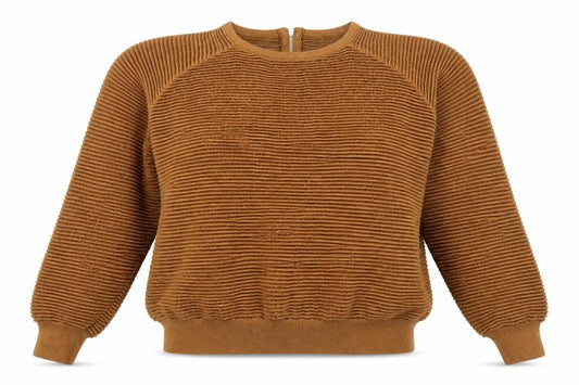 Front view of Blue Vanilla women’s brown round neck viscose jumper, size S