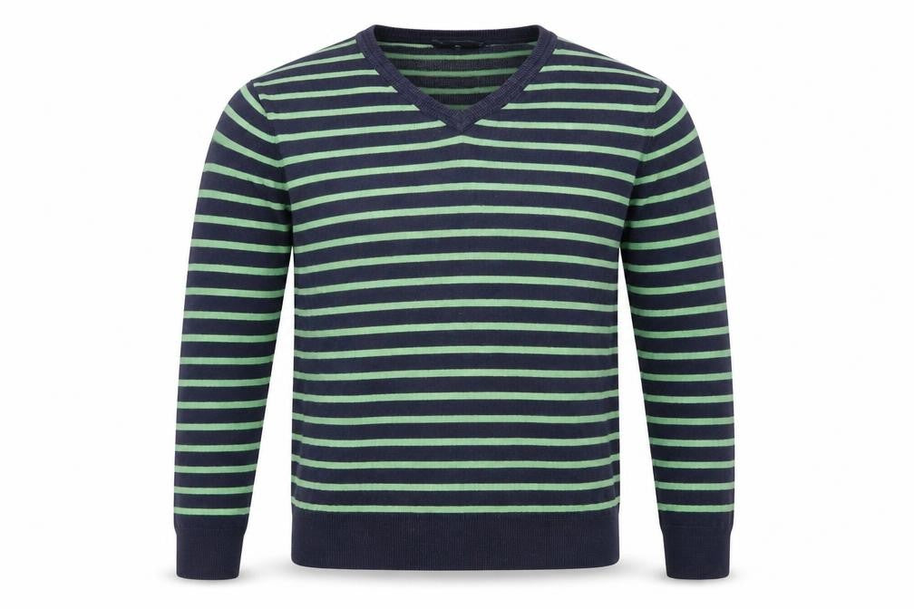 Front view of Gap men’s blue v-neck striped cotton jumper, size M