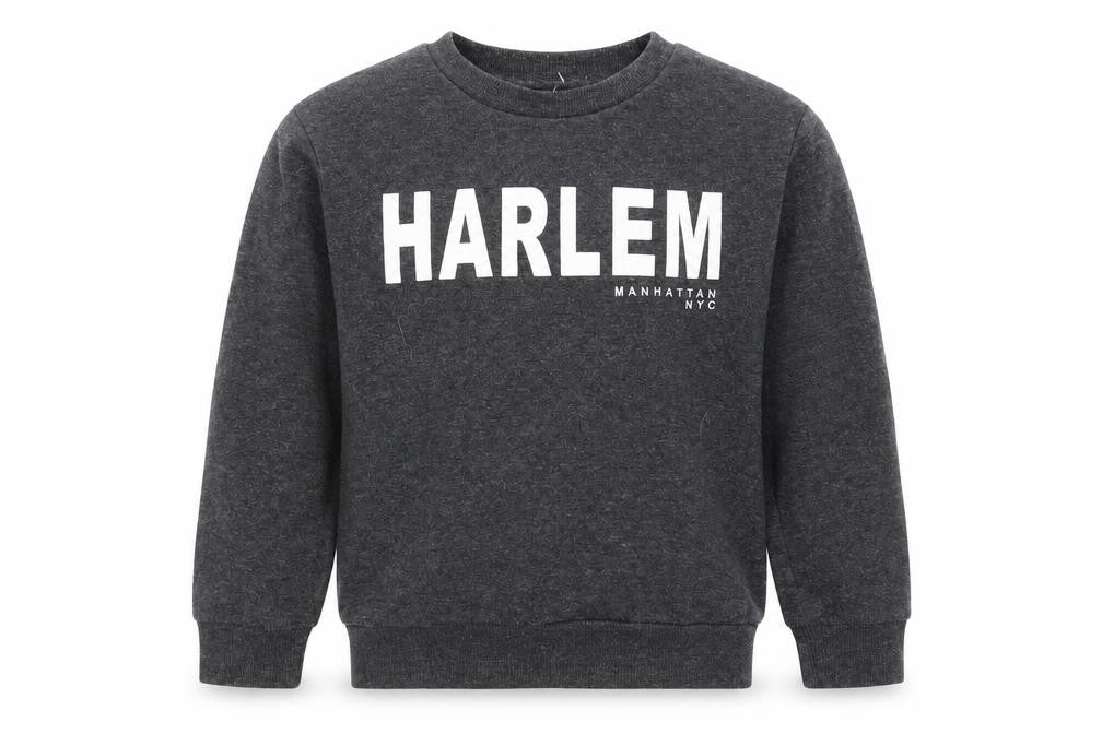 Front view of Primark boys’ grey cotton pullover sweatshirt, size 7-8, years pullover - harlem