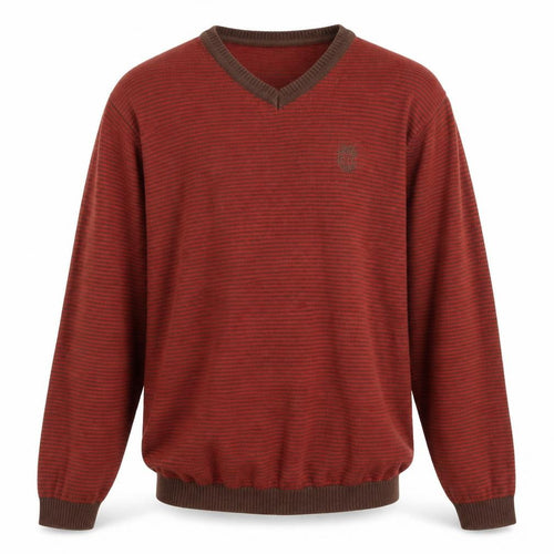Pepe Jeans Mens Multicoloured V-Neck Striped Cotton Pullover Jumper Size S Long Sleeve