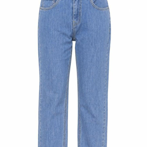 Dr. Denim Womens Blue Cotton Straight Jeans Size 26 in L26 in Regular Button