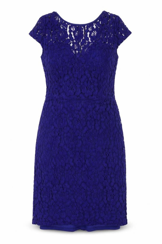 Dorothy Perkins Womens Blue Floral Polyester A-Line Size 10 Round Neck Zip