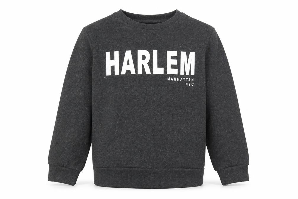 Front view of Primark boys’ grey cotton pullover sweatshirt, size 9-10, years pullover - harlem