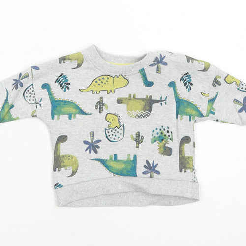Nutmeg Boys Grey Cotton Pullover Button-Up Size 0-3 Months Round Neck Snap - Dinosaur, Cactus