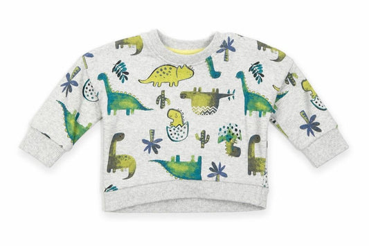 Front view of Nutmeg boys’ grey cotton pullover button-up, size 0-3, months round neck snap - dinosaur, cactus