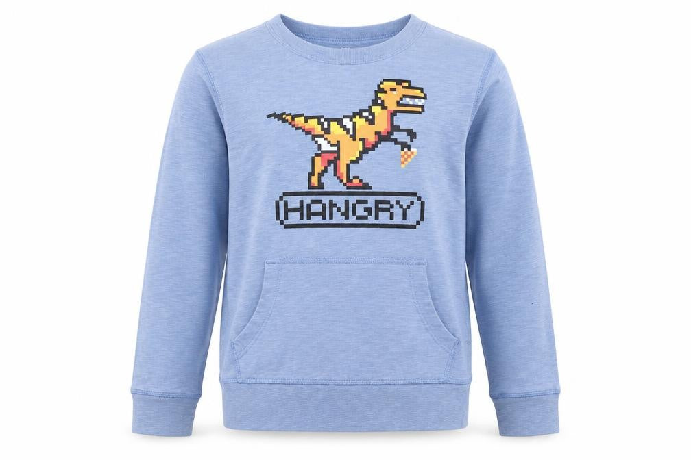 Gap Boys Blue 100% Cotton Pullover Sweatshirt Size S Pullover - Dinosaur Print