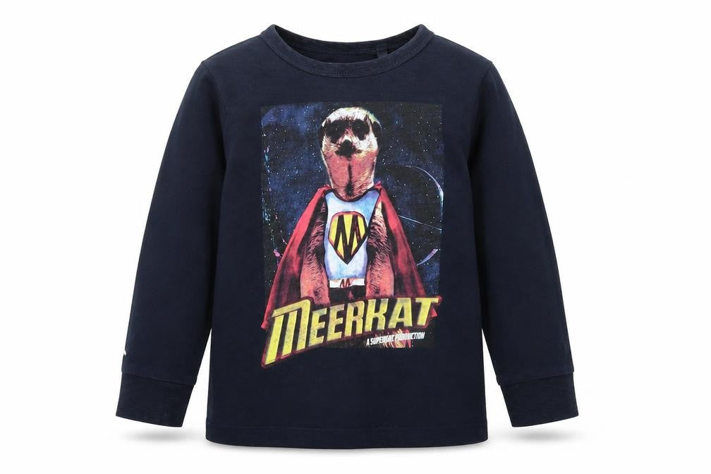 Front view of Next boys’ blue cotton basic casual, size 4, years round neck pullover - meerkat