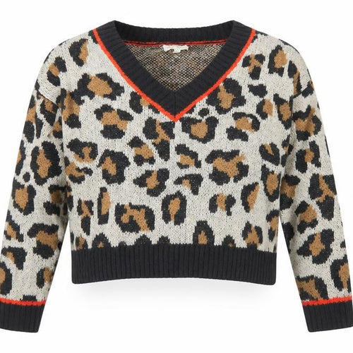 Full Circle Womens Beige V-Neck Animal Print Acrylic Pullover Jumper Size XL - Leopard Pattern