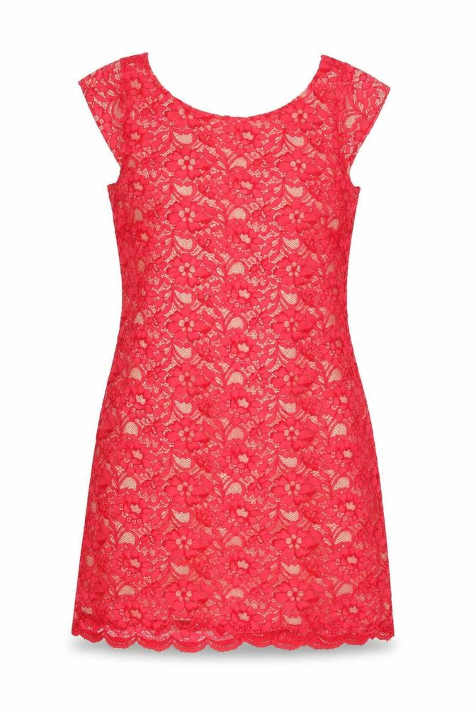 Oasis Womens Red Floral Polyamide A-Line Size 12 Round Neck Zip