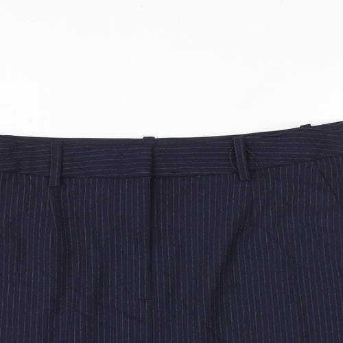 Marks and Spencer Womens Blue Striped Polyester A-Line Skirt Size 16 Zip