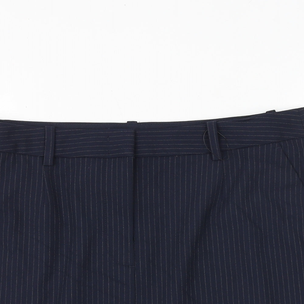 Marks and Spencer Womens Blue Striped Polyester A-Line Skirt Size 16 Zip