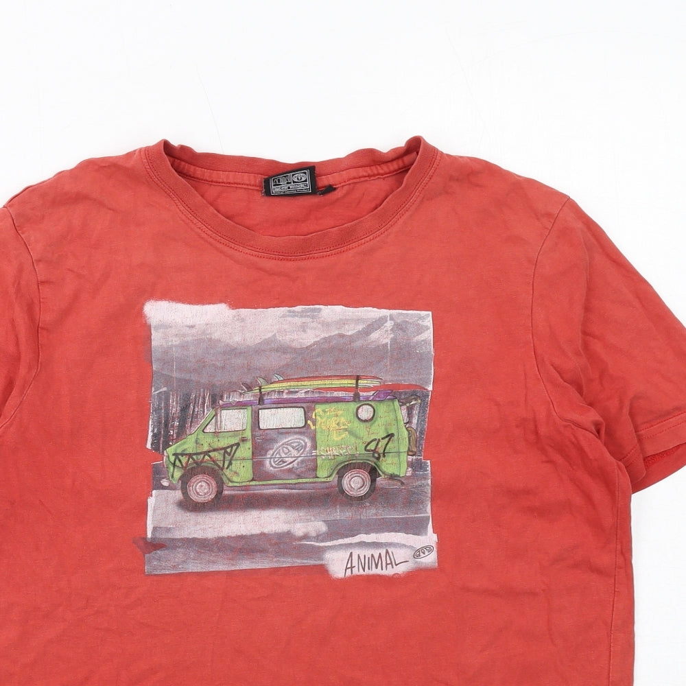 Animal Boys Red Cotton Basic T-Shirt Size 13-14 Years Round Neck Pullover - Van