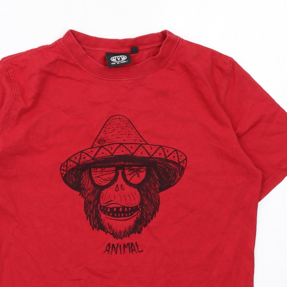 Animal Boys Red Cotton Basic T-Shirt Size 11-12 Years Round Neck Pullover - Monkey