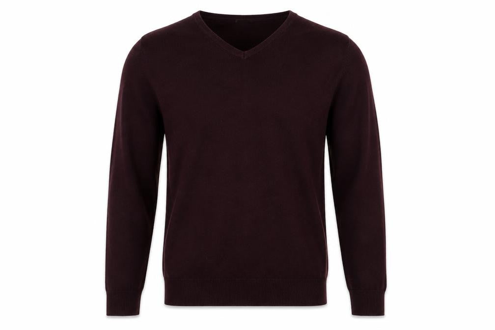 Front view of H&M men’s purple v-neck cotton jumper, size M, long sleeve