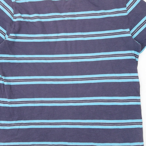 Gap Mens Blue Striped Cotton T-Shirt Size L Round Neck