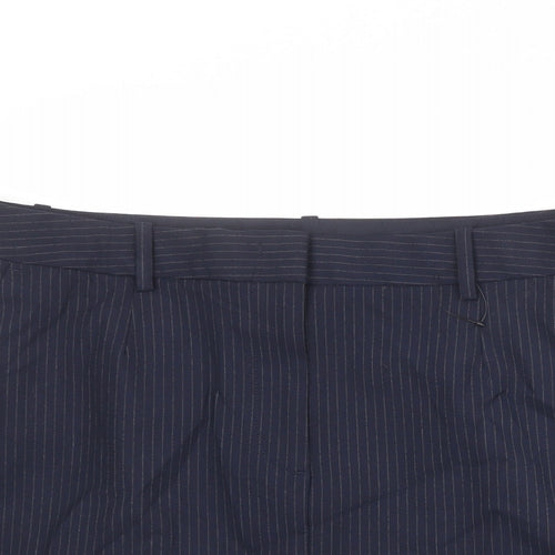 Marks and Spencer Womens Blue Striped Polyester A-Line Skirt Size 18 Zip
