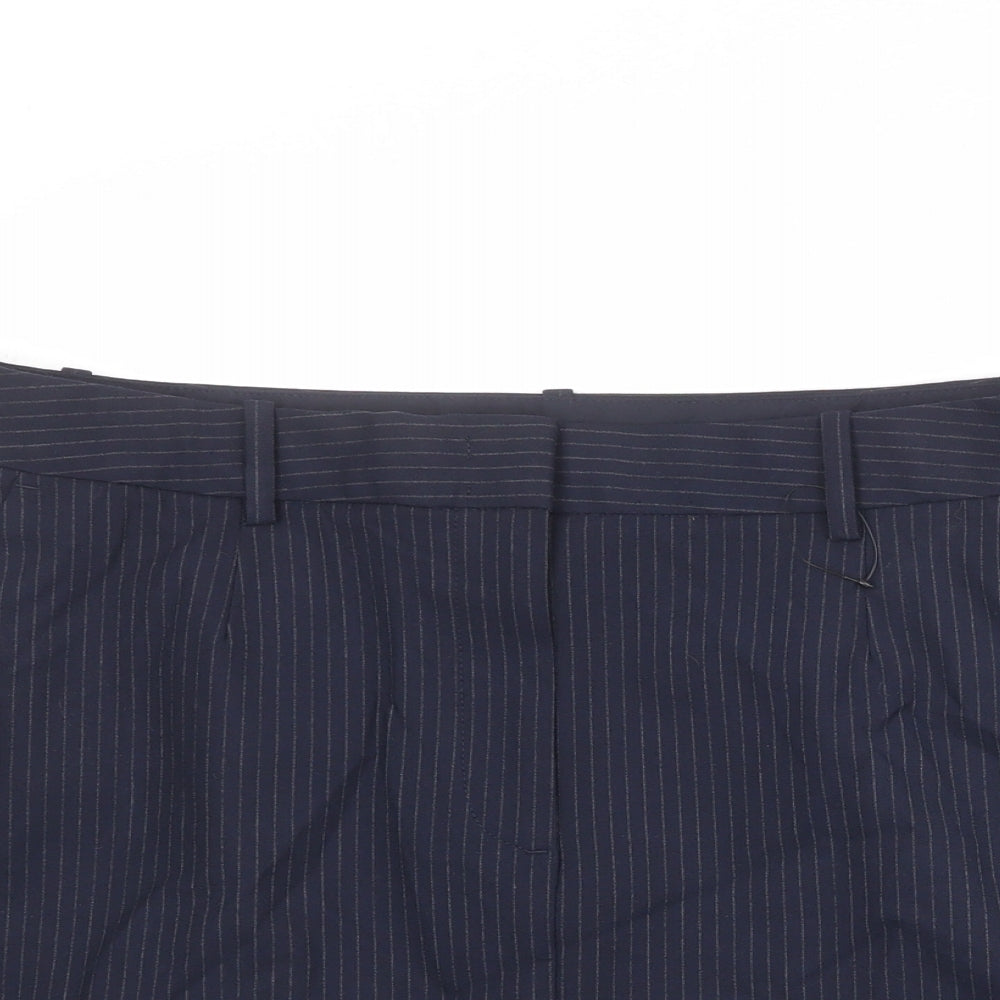 Marks and Spencer Womens Blue Striped Polyester A-Line Skirt Size 18 Zip