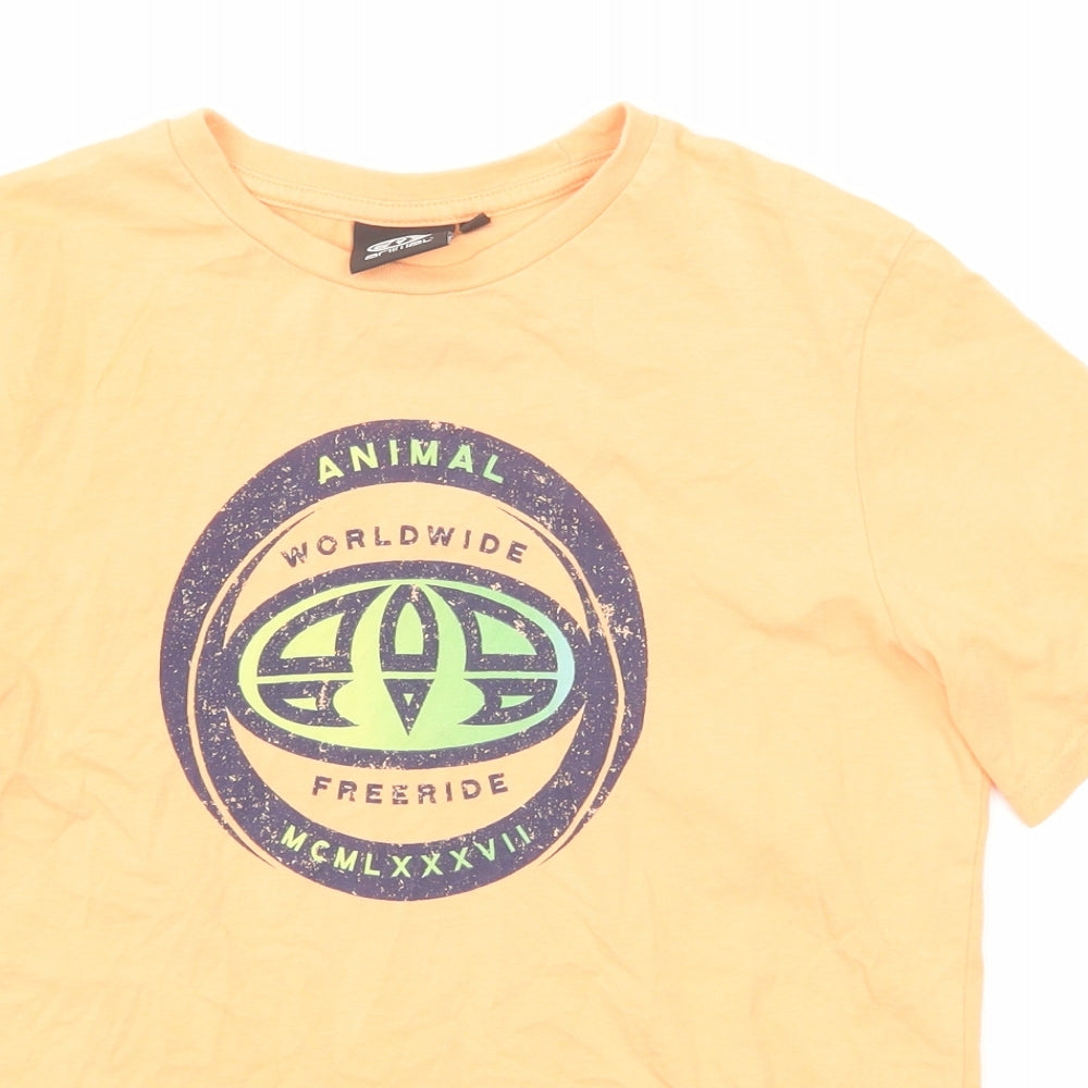 Animal Boys Orange Cotton Basic T-Shirt Size 9-10 Years Round Neck Pullover