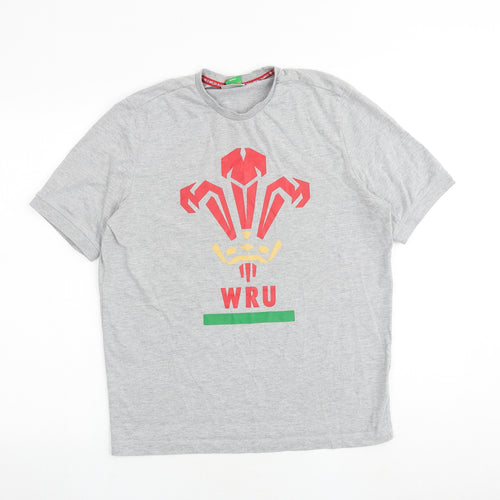 Wales Rugby Boys Grey 100% Cotton Basic T-Shirt Size S Round Neck Pullover
