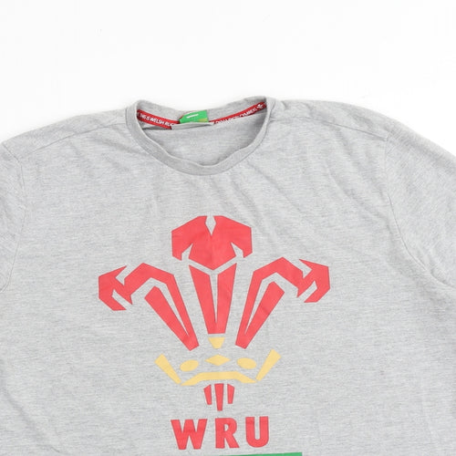 Wales Rugby Boys Grey 100% Cotton Basic T-Shirt Size S Round Neck Pullover